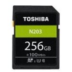 Toshiba sd exceria r100 n203 256gb Toshiba sd exceria r100 n203 256gb