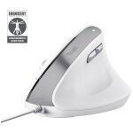 Trust bayo ii souris bureau droitier usb type - a optique 2400 dpi