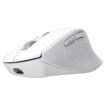 Trust niven - souris - ergonomique - confortable - pour droitiers - optique - 7 boutons - sans fil - ...