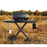 Barbecue gaz napolon phantom travelq pro285x avec chariot pliable