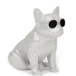 Haut - parleur portable jarre technologies aerobull xs1 glossy white Haut - parleur portable jarre technologies aerobull xs1 glossy white
