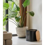 Rangement  granules bois stepia noir givr naturel dixneuf design