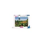1000p puzzle jadrin botanique de madere