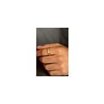 Alliance hayden en acier 316l