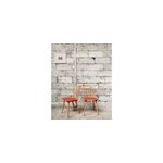 Alma, la paire de chaises rouge n448