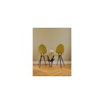 Alma, la paire de chaises en ska� n�902