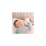 Animaux musicaux, paulette la poule