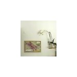 L'anjou viticole et historique