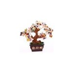 Arbre traditionnel 5 elements