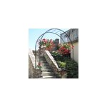 Arche de jardin treillage en fer viei. . .