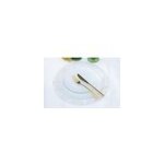Assiette plate transparente 28cm - lot de 6