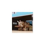 Avion frelon fou puzzle 3d bois