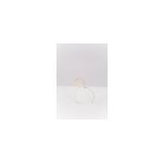 Bague anmone