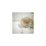 Bague arbre de vie or