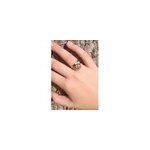 Bague selma en acier inoxydable et v�ritable fleur de photinia