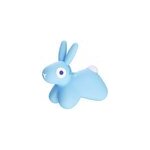 Ballon sauteur hoppi