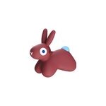Ballon sauteur hoppi