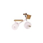 Banwood tricycle rose