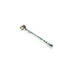 Baton du diable - babache vert