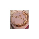 Bijou de grossesse bola avec cha�ne - classique or rose