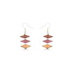 Boucles d'oreille en bois multicolore