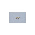 Boucles d'oreilles clous c�dric en acier 316l