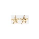 Boucles d'oreilles etoile de mer
