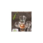 Bouée de germination pour avocat Bouée de germination pour avocat