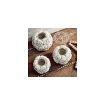 Bougeoir photophore en coquillages