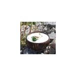 Bougie qui devient plante verveine