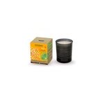 Bougie parfume bois cannelle naturel