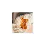 Bouillotte � eau ours brun