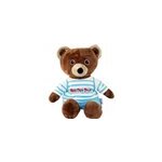Bouillotte petit ours brun