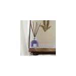 Bouquet parfum figue & aloe vera