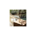 Bouquet parfum� infusion d'agrumes