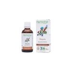 Bourgeons de s�quoia 50ml bio