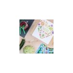 Box de graines potag�res sp�ciale d�tox