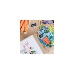 Box graines potagres de novembre