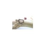 Bracelet perles oeil de tigre & chance Bracelet perles oeil de tigre & chance