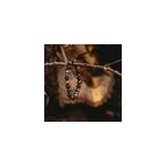 Bracelet perle il du tigre pour homme Bracelet perle il du tigre pour homme