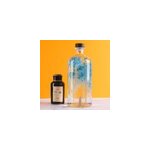 Broom turquoise immerg - la jarre 3l