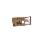 Carnet les dinosaures
