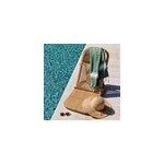 Chaise de plage pliable en rotin naturel - favignana