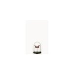 Cloche verre bordeaux h. 16cm