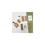 Coffret aromates 7 sachets + 7 palets de coco