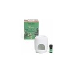 Coffret brûle - parfum roi des forêts Coffret brûle - parfum roi des forêts