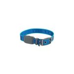 Collier pour chien lumineux rechargeable