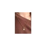 Collier selm en acier inoxydable et fleur s�ch�e et v�ritables fleurs s�ch�es