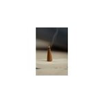 Cones d'encens earth
