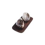 Coquillage - duo sali�re et poivrier en coquillage naturel - 6. 5cm